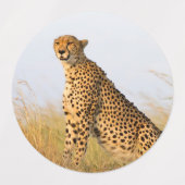 Cheetah Portrait Labels (Design 1)