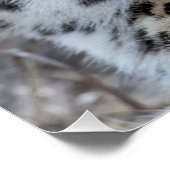 Cheetah Portrait Perfect Poster (Hoek)