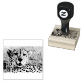 Cheetah Portrait Rubberstempel (Gestempeld)