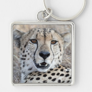Cheetah Portrait Sleutelhanger