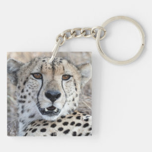 Cheetah Portrait Sleutelhanger