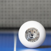 Cheetah Portret Pingpongballen (Net)