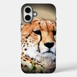 Cheetah Portret van Volle Maan: Natuur's Grace iPhone 16 Plus Hoesje