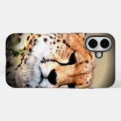 Cheetah Portret van Volle Maan: Natuur's Grace Case-Mate iPhone Case (Achterkant (horizontaal))
