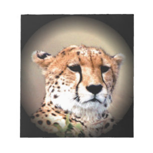 Cheetah Portret van Volle Maan: Natuur's Grace Notitieblok