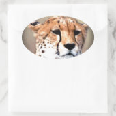 Cheetah Portret van Volle Maan: Natuur's Grace Ovale Sticker (Tas)