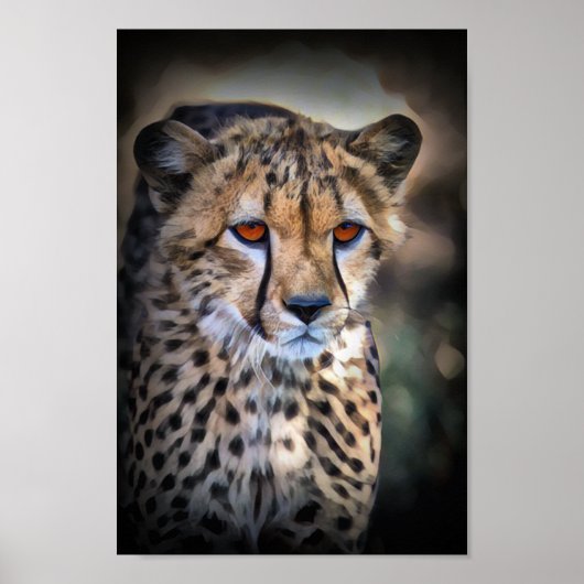 Cheetah Poster (Voorkant)