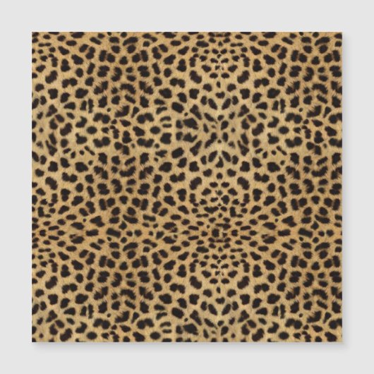 Cheetah Print (Voorkant)
