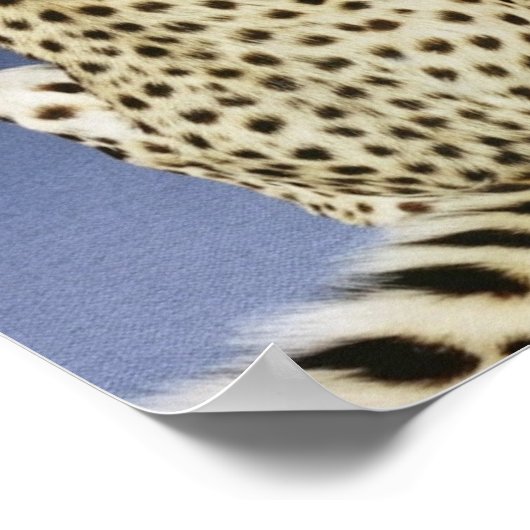 Cheetah Print (Hoek)