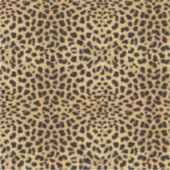 Cheetah Print Sticker (Voorkant)