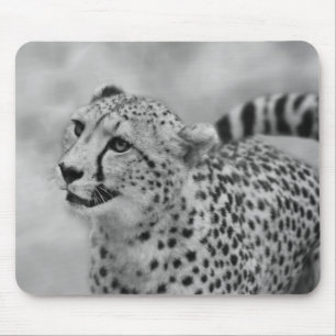 Cheetah-profiel Muismat