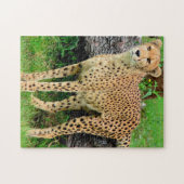 Cheetah Puzzle Legpuzzel (Horizontaal)
