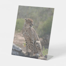 Cheetah Reclamebord Met Voetstuk