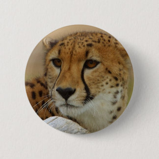 Cheetah Ronde Button 5,7 Cm