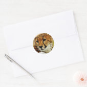 Cheetah Ronde Sticker (Envelop)