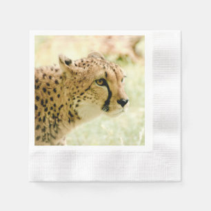 cheetah servet