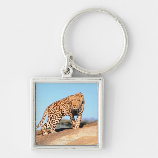 Cheetah Sleutelhanger (Voorkant)