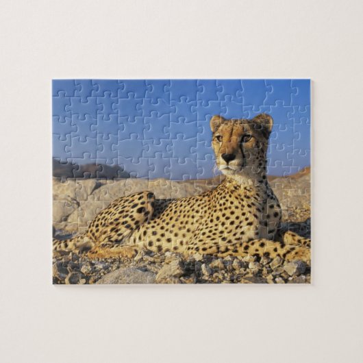 Cheetah spel puzzel (Horizontaal)