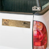 Cheetah Spots Bumpersticker (Op Truck)