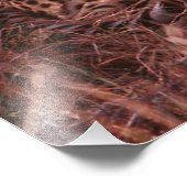 Cheetah Stare Foto Afdruk (Hoek)