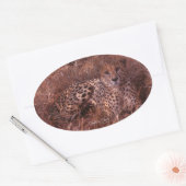 Cheetah Stare Oval Stickers (Envelop)