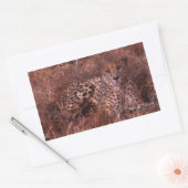 Cheetah Stare Rechthoekige Sticker (Envelop)