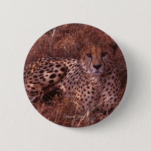 Cheetah Stare Ronde Button 5,7 Cm (Voorkant)