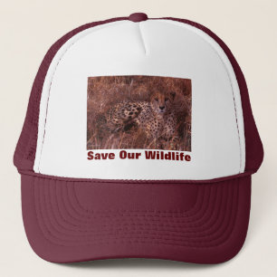 Cheetah Stare Sauvez notre Casquette faunique