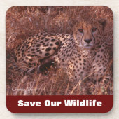 Cheetah Stare Save Our Willife Bier Onderzetter (Voorkant)