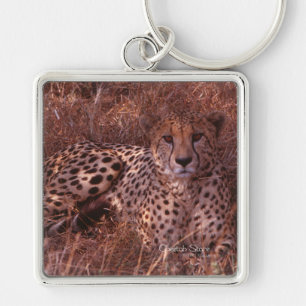 Cheetah Stare Sleutelhanger
