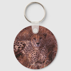 Cheetah Stare Sleutelhanger