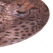 Cheetah Stare Snijplank (Hoek)