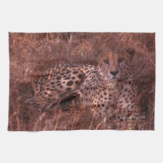 Cheetah Stare Theedoek (Horizontaal)