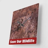 Cheetah Stare Vierkante Klok (Hoek)