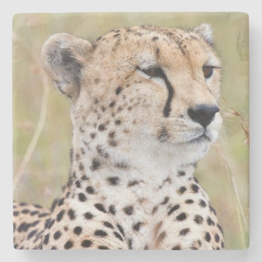 Cheetah Stenen Onderzetter (Voorkant)