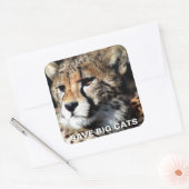 Cheetah Sticker (Envelop)