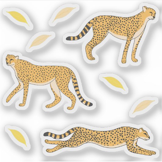 Cheetah Sticker (Voorkant)