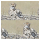 Cheetah Stof (Close Up)