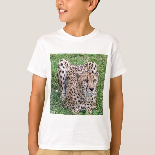 Cheetah T-shirt (Voorkant)