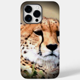 Cheetah Tear Marks Hakunamatata Case-Mate iPhone 14 Pro Max Hoesje