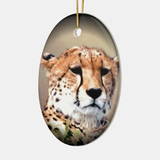 Cheetah Tear Marks Hakunamatata Keramisch Ornament (Links)
