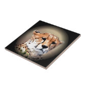 Cheetah Tear Marks Hakunamatata Tegeltje (Zijkant)