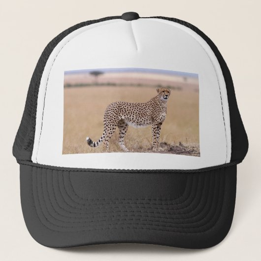 Cheetah Trucker Pet (Voorkant)