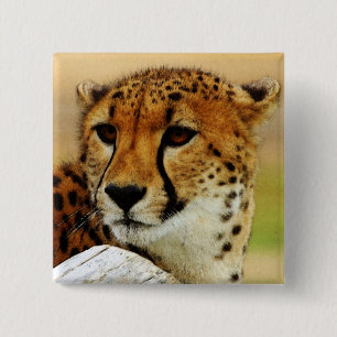 Cheetah Vierkante Button 5,1 Cm
