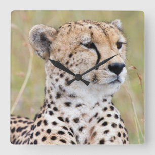 Cheetah Vierkante Klok