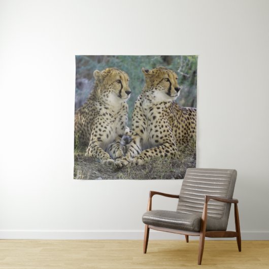 Cheetah Wandkleed (In situ)