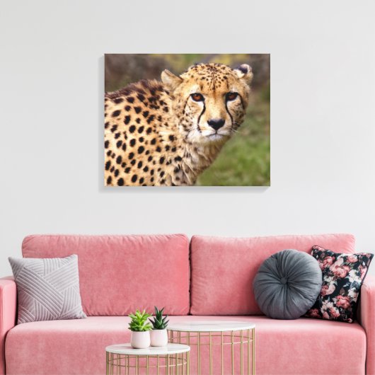 Cheetah Wrapped Canvas Print (Insitu (Woonkamer))
