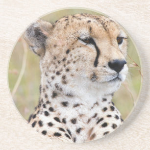 Cheetah Zandsteen Onderzetter