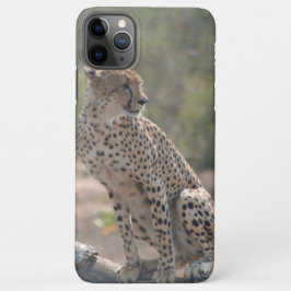 Cheetah zit op een omgevallen boom in het wild iPhone 11Pro max hoesje