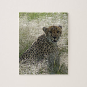Cheetah Zone Puzzle Legpuzzel